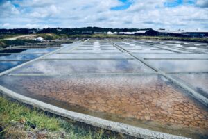 Marais salants de Guérande proche de Saint-Nazaire